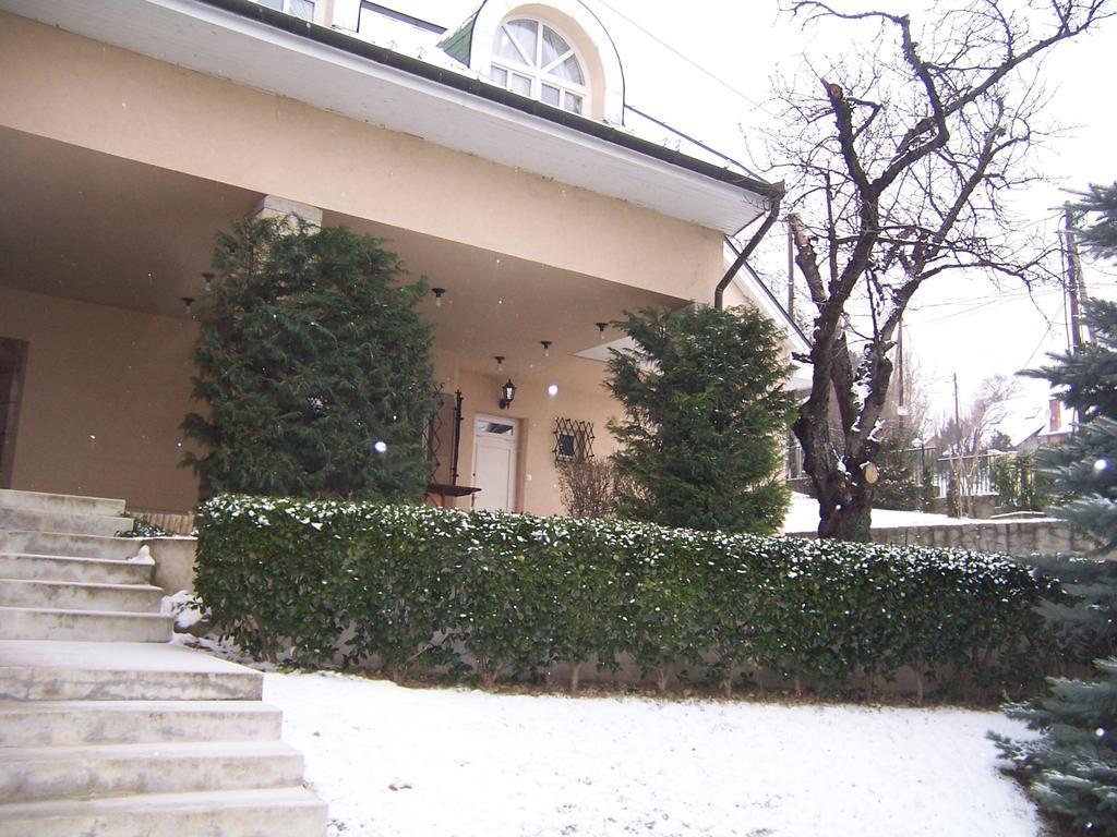 Villa Szekely Leanyfalu Ngoại thất bức ảnh